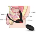 Langer-RTC Prostat ve Penis Halkalı Şarjlı Uzaktan Kumandalı Anal Vibratör Ek Resim