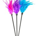 Sexy Feather Tickler Tüy 1
