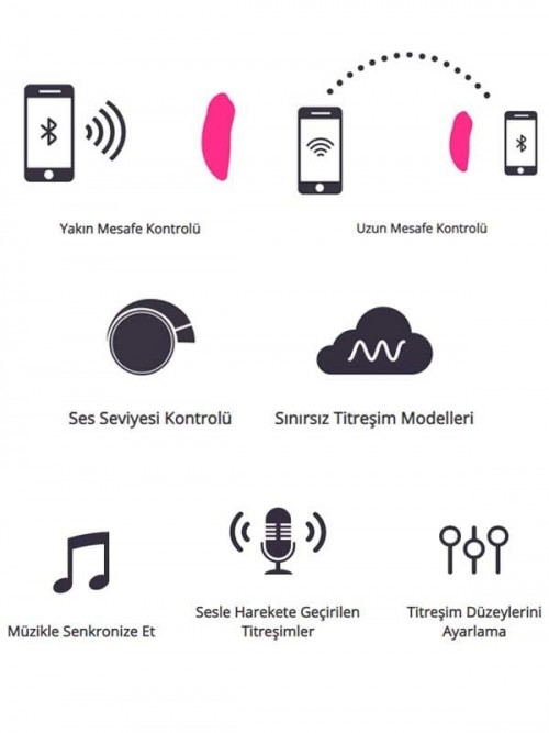 Lovense Ferri Telefon Kontrollü Külot İçi Giyilebilir Vibratör 2