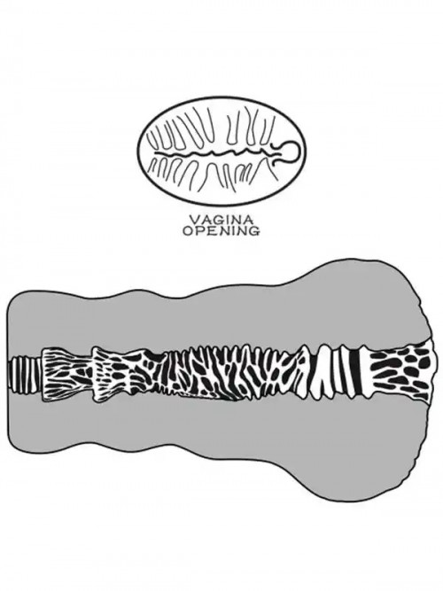 LoveToy Alien’s Pie #2 Mastürbator 23 cm 5