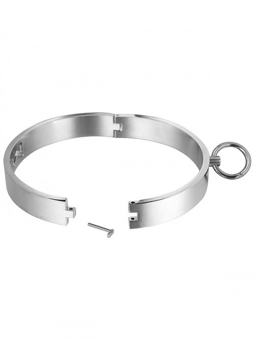 Çelik Boyun Tasması 3