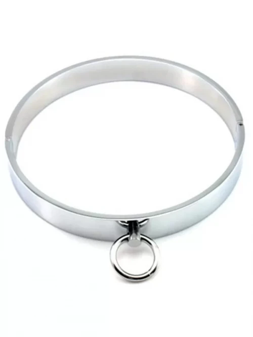 Paslanmaz Çelik Boyun Tasması